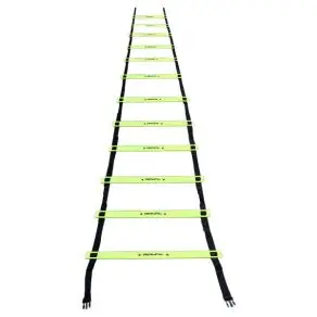 Royal Agility Stige 6m - Klubber og foreninger